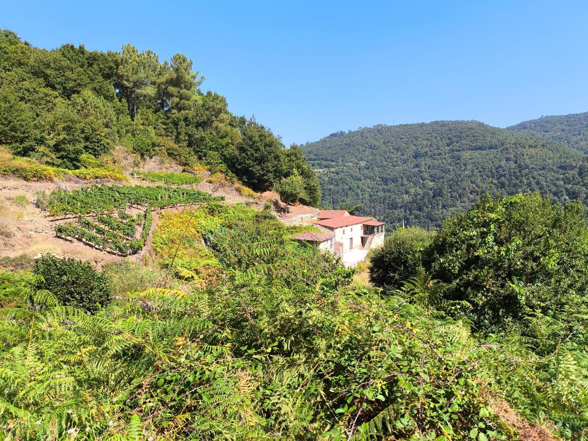 Xiravai-Ribeira Sacra Villa Peares Eksteriør billede