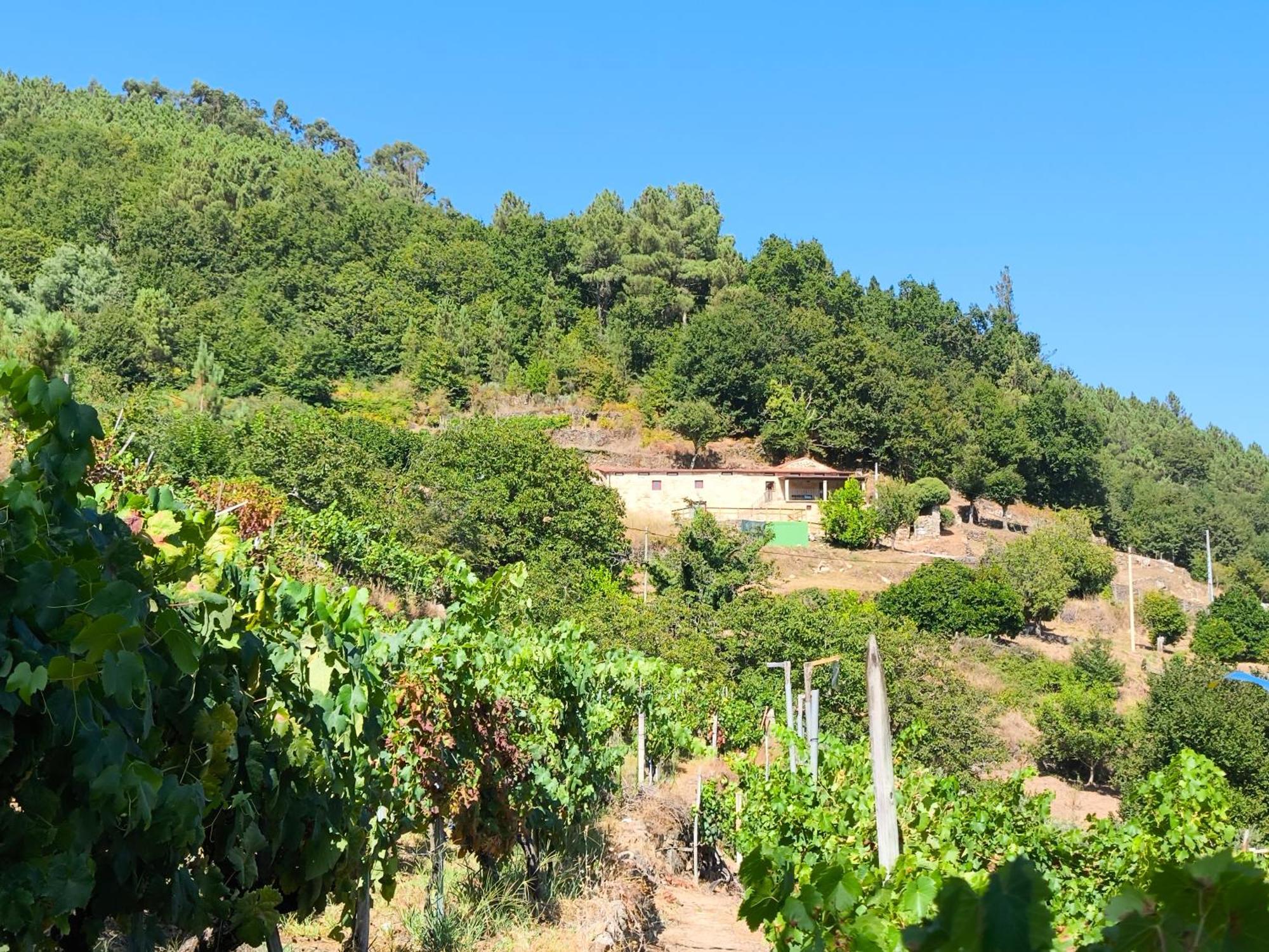 Xiravai-Ribeira Sacra Villa Peares Eksteriør billede